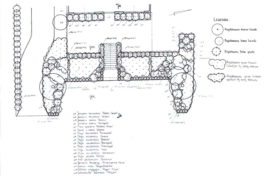 dendronica_12(7)